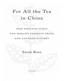 For All the Tea in China Read online