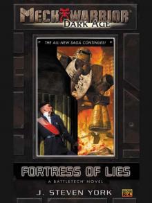 Fortress of Lies Read online