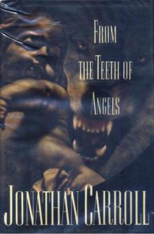From the Teeth of Angels Read online
