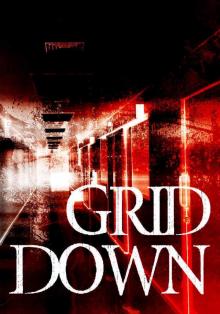 Grid Down: A Strike against America – An EMP Survival Story- Book One Read online
