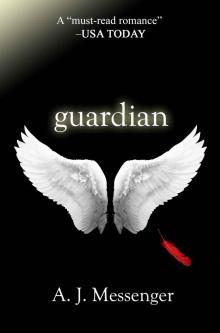Guardian (The Guardian Series Book 1) Read online