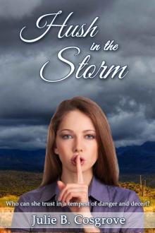 Hush in the Storm Read online