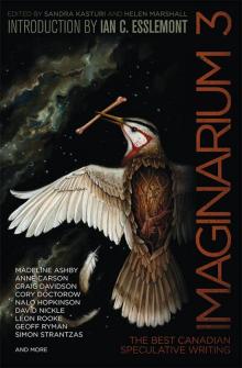 Imaginarium 3