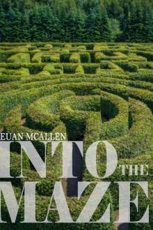 Into The Maze Read online