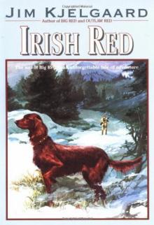 Irish Red Read online
