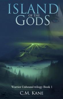 Island of the Gods Read online