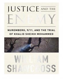 Justice and the Enemy Read online