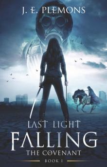 Last Light Falling Read online