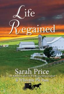 Life Regained (An Amish Friendship Series Book 1)