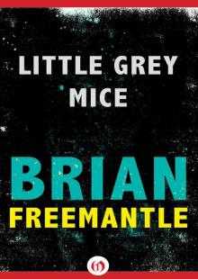 Little Grey Mice Read online