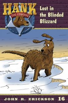 Lost in the Blinded Blizzard Read online