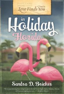 Love Finds You in Holiday, Florida Read online