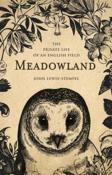 Meadowland Read online