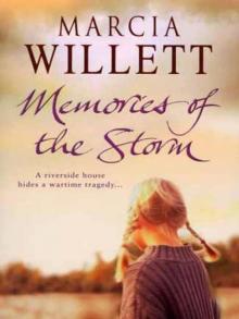 Memories Of The Storm Read online