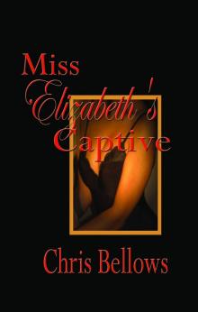 Miss Elizabeth's Captive Read online