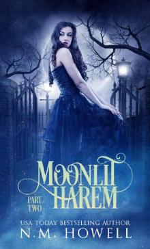 Moonlit Harem: Part 2 Read online