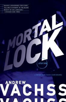 Mortal Lock Read online