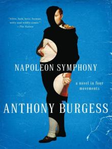 Napoleon Symphony: A Novel in Four Movements Read online