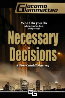 Necessary Decisions, A Gino Cataldi Mystery Read online