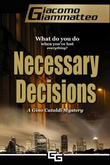 Necessary Decisions, A Gino Cataldi Mystery