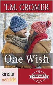 One Wish Read online