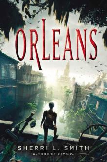 Orleans Read online