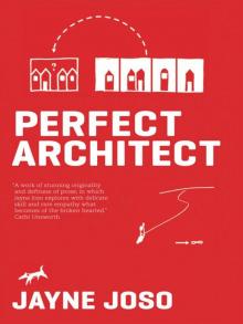 Perfect Architect Read online