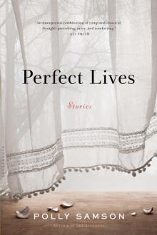 Perfect Lives Read online