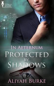 Protected by Shadows Read online