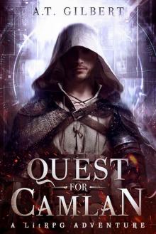 Quest for Camlan: A LitRPG Adventure (Camlan Realm Book 1) Read online
