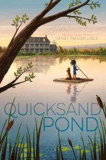 Quicksand Pond Read online
