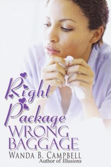 Right Package, Wrong Baggage Read online