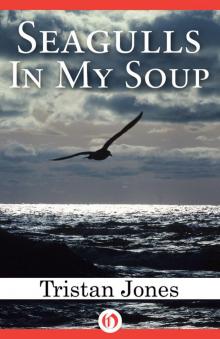 Seagulls in My Soup Read online