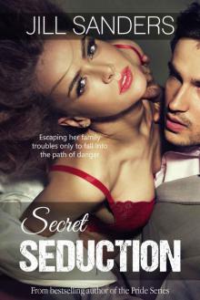Secret Seduction (Secret Series Romance Novels) Read online