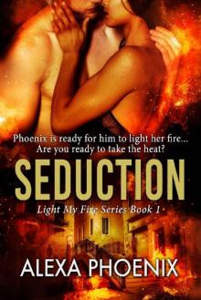 Seduction: Light My Fire Series Book #1 Read online