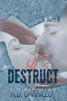 Self Destruct Read online