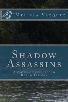 Shadow Assassins (The Second Realm Trilogy)