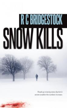 Snow Kills Read online