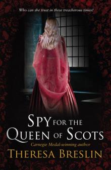 Spy for the Queen of Scots Read online