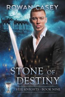 Stone of Destiny (Veil Knights Book 9) Read online
