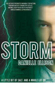 Storm: a Salt novel (Entangled Teen) Read online