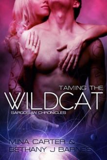 Taming the Wildcat [01] Wildcats Read online