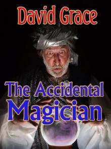 The Accidental Magician Read online