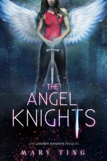 The Angel Knights-Prequel (The Angel Knights Series Book 1)