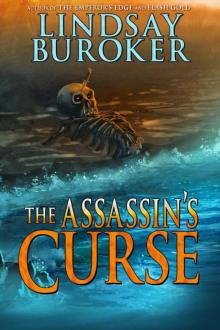 The assassin curse Read online