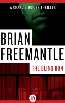 The Blind Run Read online