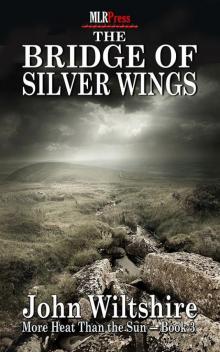 The Bridge of Silver Wings Read online