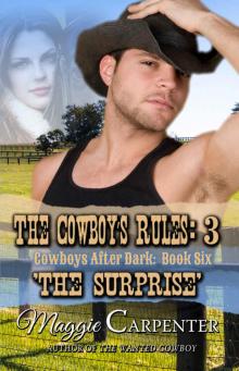 THE COWBOY'S RULES: 3: THE SURPRISE (Cowboys After Dark Book 6) Read online