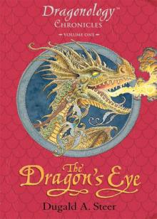 The Dragon's Eye Read online