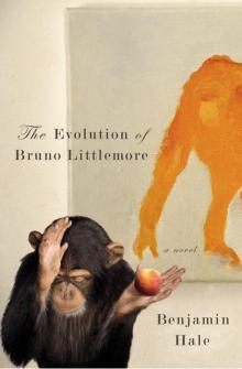 The Evolution of Bruno Littlemore Read online
